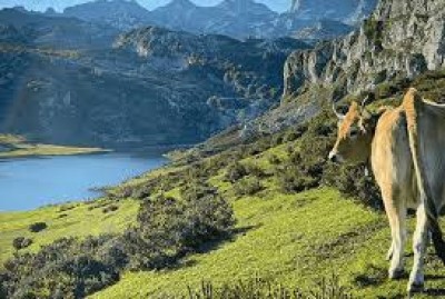Asturias en pausa: Un momento para el ocio digital y los paisajes en directo