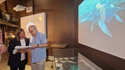 El Principado moderniza el Museo del Jurásico con una inversión de 600.000 euros para ofrecer una experiencia más interactiva, accesible y familiar